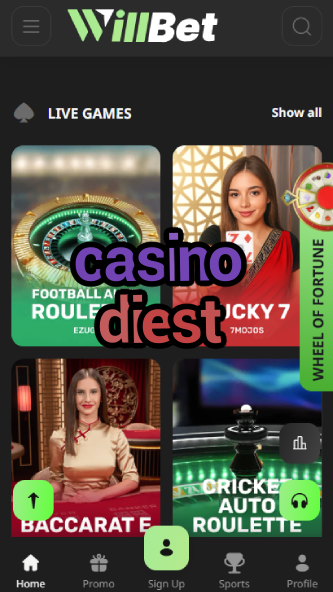 Casino Diest - Premium Belgian Casino-www.bdqngd.com